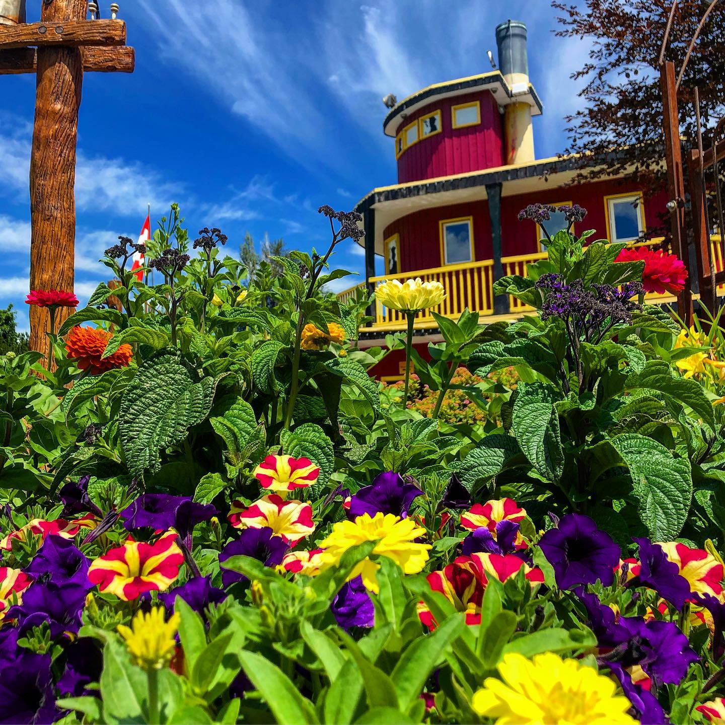 Flowers are in bloom at LocoLanding Adventure Park