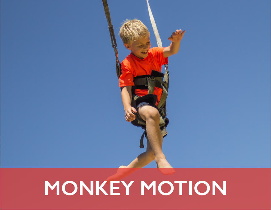 LocoLanding Adventure Park Monkey Motion